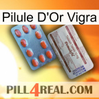 Vigra Gold Pill 36